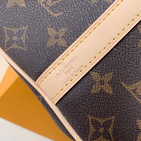 Louis Vuitton SPEEDY BANDOULIERE 25