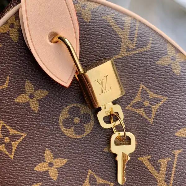 Louis Vuitton SPEEDY 25