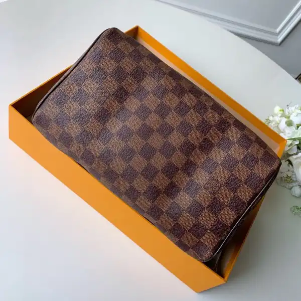 Louis Vuitton SPEEDY 25