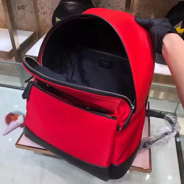 Bagsoffer Fendi Backpack