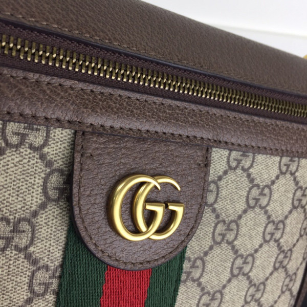 HOT SALE Gucci Ophidia GG