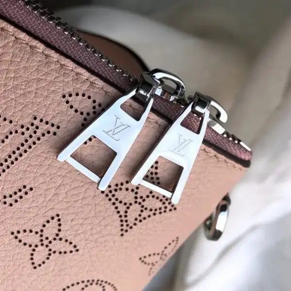 Louis Vuitton Haumea Bag