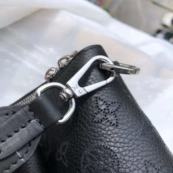 Louis Vuitton Haumea Bag