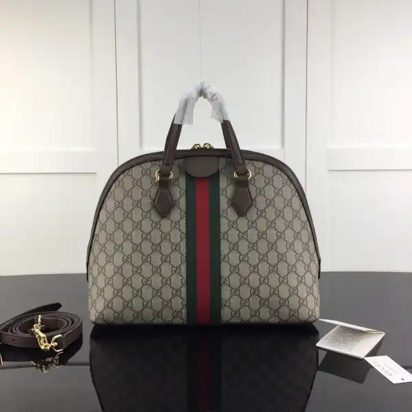 Gucci Ophidia Bag