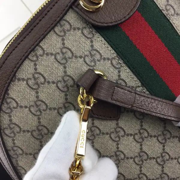 Gucci Ophidia Bag