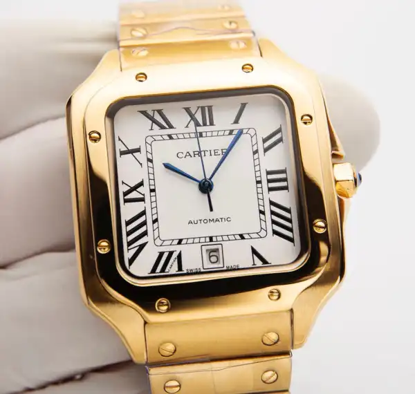 Cartier Watch