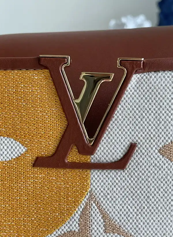 LOUIS VUITTON CAPUCINES MM