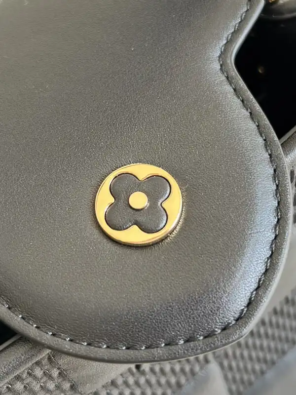 Cheap LOUIS VUITTON CAPUCINES BB