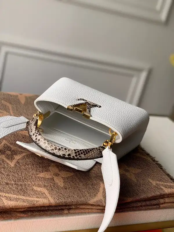 Cheap LOUIS VUITTON CAPUCINES MINI