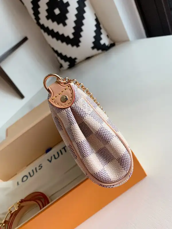 LOUIS VUITTON EVA