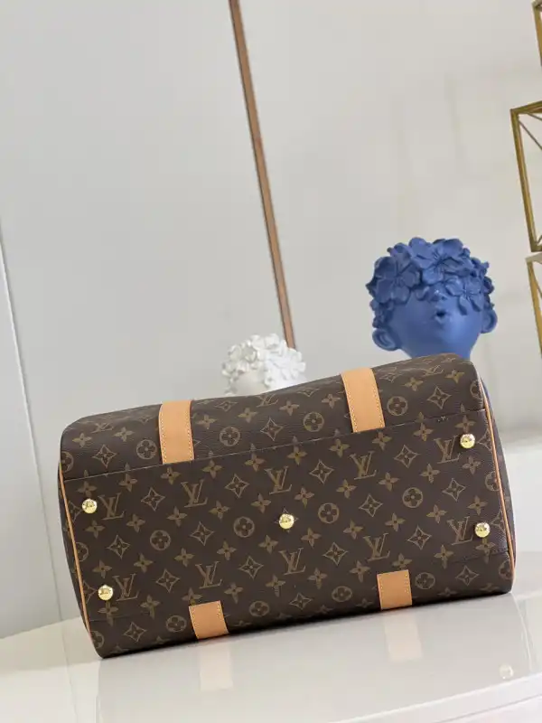 Cheap LOUIS VUITTON CARRYALL