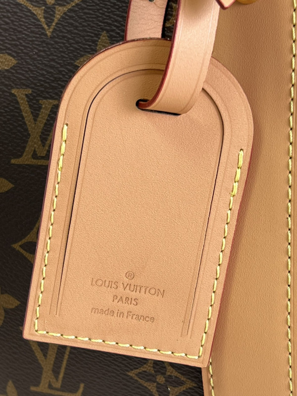 LOUIS VUITTON CARRYALL