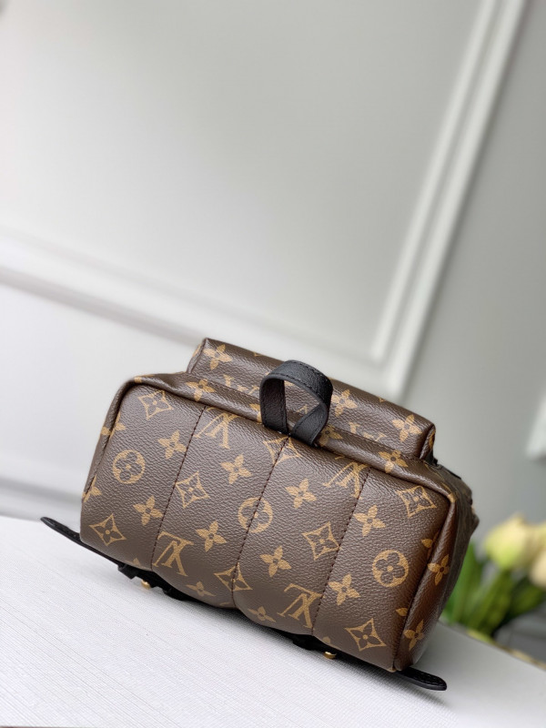 HOT SALE LOUIS VUITTON PALM SPRINGS PM NEW EDITION