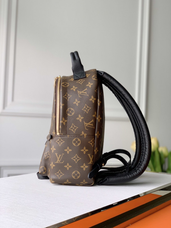 HOT SALE LOUIS VUITTON PALM SPRINGS PM NEW EDITION