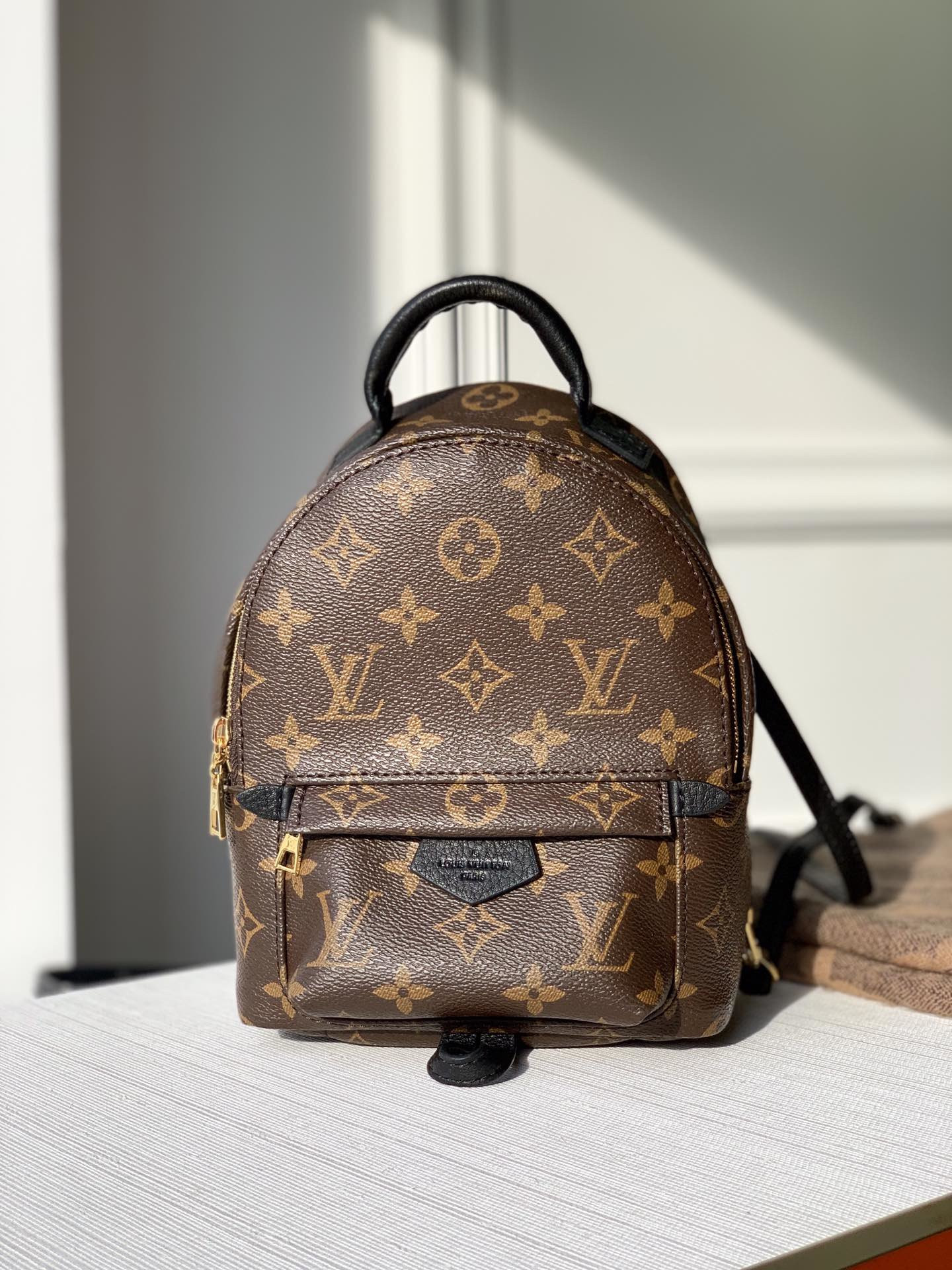 HOT SALE LOUIS VUITTON PALM SPRINGS MINI NEW EDITON