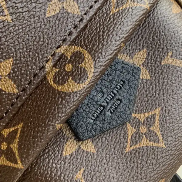 Cheap LOUIS VUITTON PALM SPRINGS MINI NEW EDITON