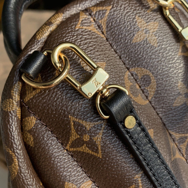 HOT SALE LOUIS VUITTON PALM SPRINGS MINI NEW EDITON