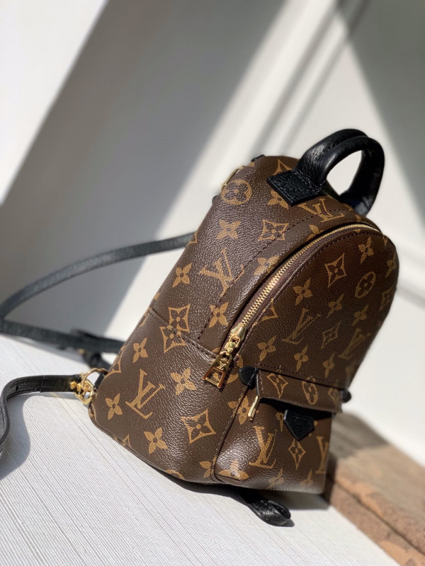 HOT SALE LOUIS VUITTON PALM SPRINGS MINI NEW EDITON