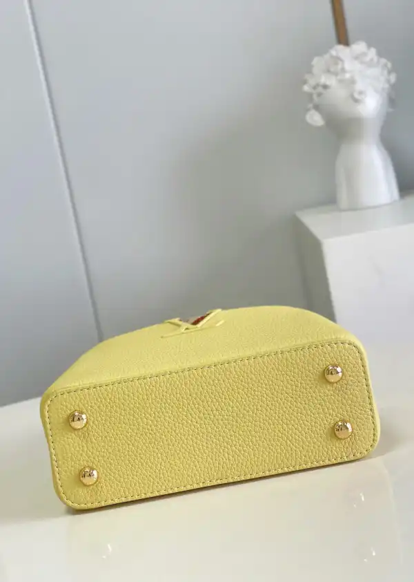 Frstbag ru LOUIS VUITTON CAPUCINES MINI