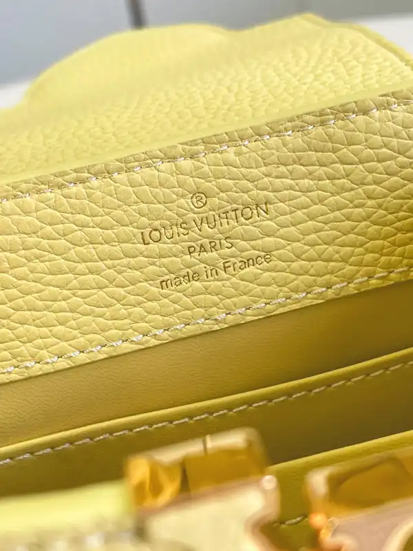 LOUIS VUITTON CAPUCINES MINI