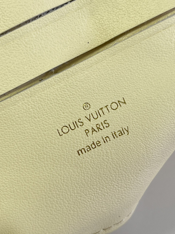 HOT SALE LOUIS VUITTON WALLET ON STRAP BUBBLEGRAM