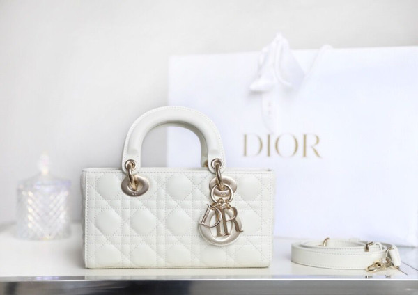 HOT SALE dior LADY D-JOY BAG