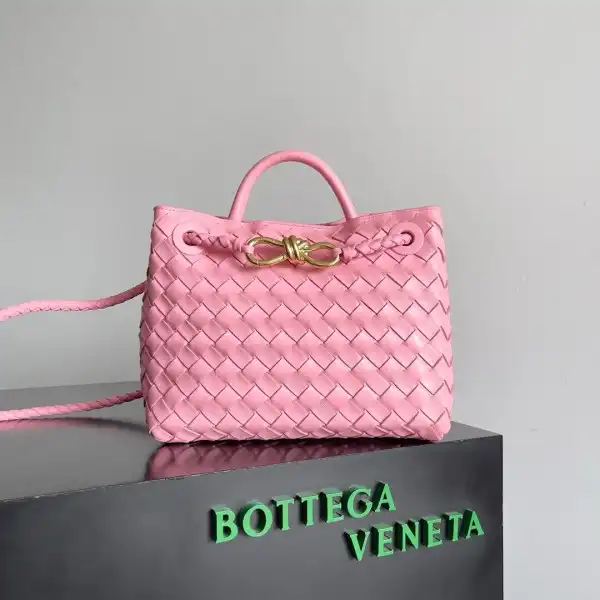 BOTTEGA VENETA SMALL ANDIAMO-25*22*10.5cm