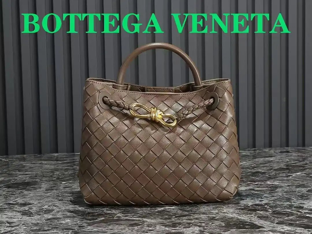 BOTTEGA VENETA SMALL ANDIAMO-25*22*10.5cm