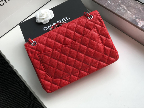 CL FLAP BAG 30CM