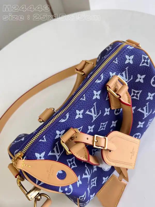 First bag ru Louis Vuitton SPEEDY 25