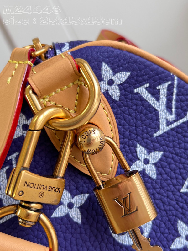 HOT SALE Louis Vuitton SPEEDY 25