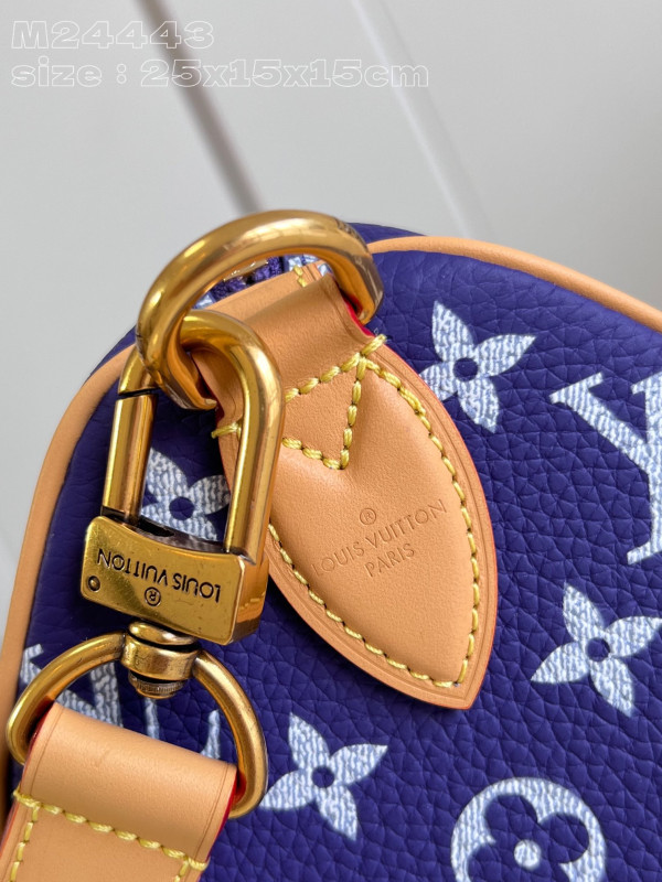 HOT SALE Louis Vuitton SPEEDY 25