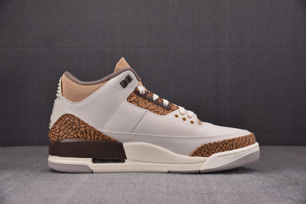 HOT SALE AIR JORDAN 3 PALOMINO CT8532-102