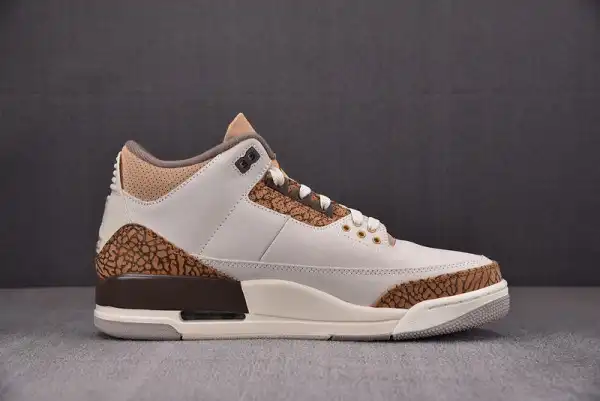 AIR JORDAN 3 PALOMINO CT8532-102