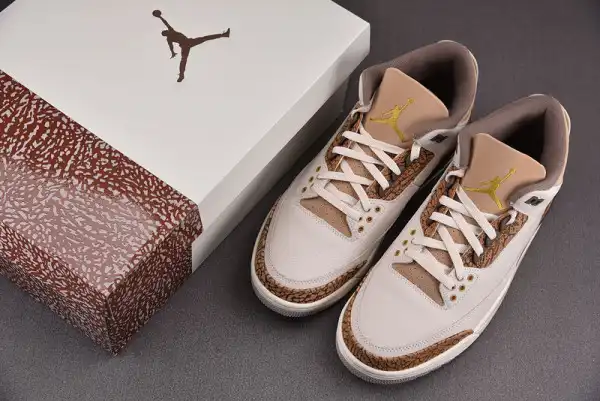 AIR JORDAN 3 PALOMINO CT8532-102