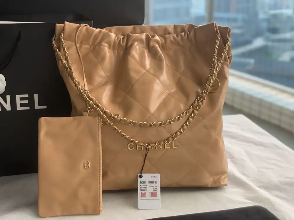 CL LARGE 22 HANDBAG