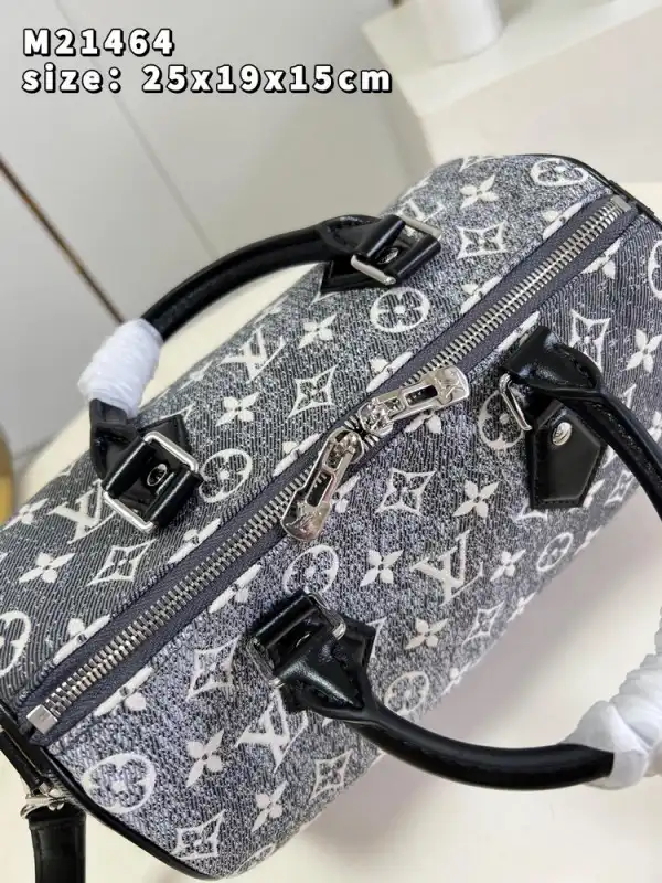 LOUIS VUITTON SPEEDY BANDOULIÈRE 25