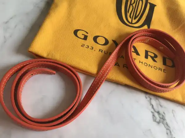 First bag ru GOYARD SAIGON MINI