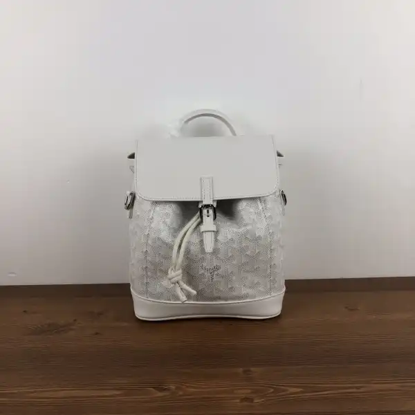 First bag ru GOYARD Alpin Mini Backpack