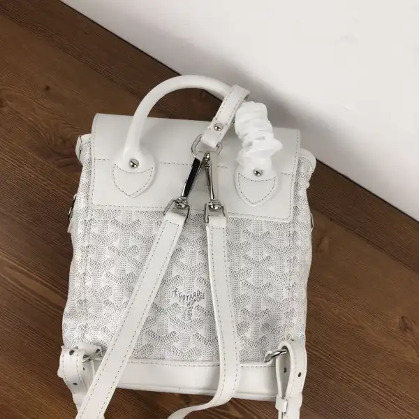 First bag ru GOYARD Alpin Mini Backpack