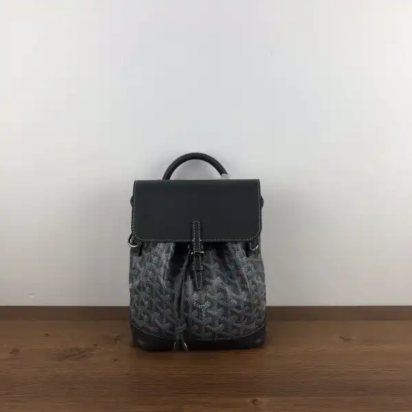 TO GOYARD Alpin Mini Backpack