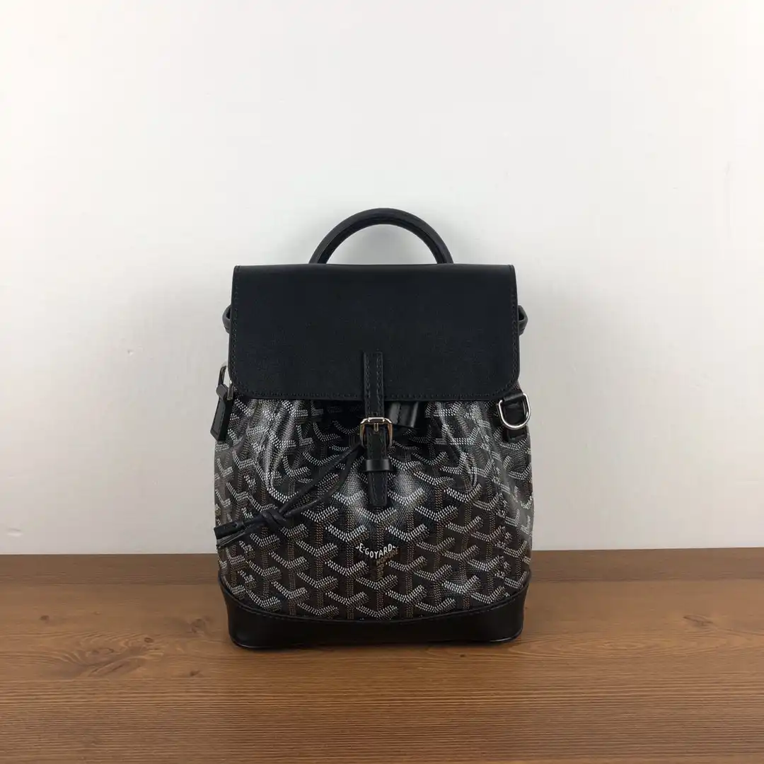 GOYARD Alpin Mini Backpack