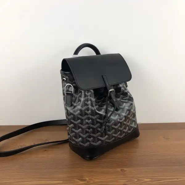 GOYARD Alpin Mini Backpack