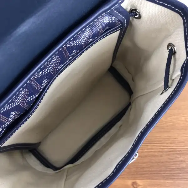 First bag ru GOYARD Alpin Mini Backpack