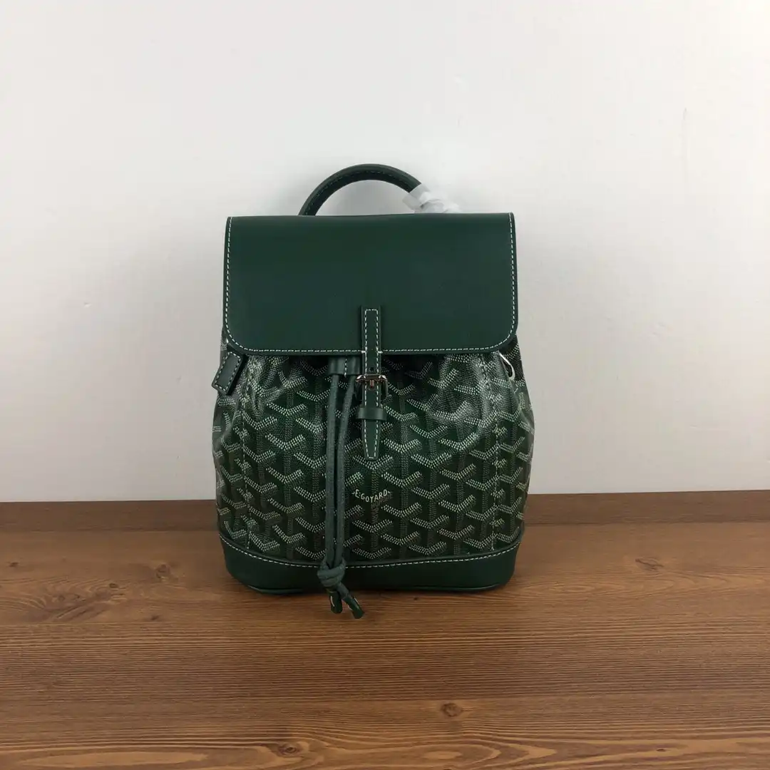 First bag ru GOYARD Alpin Mini Backpack