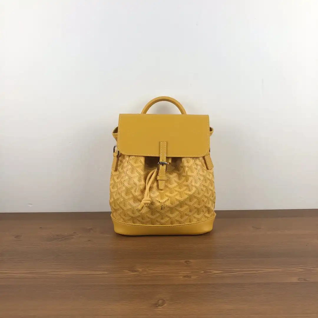 TO GOYARD Alpin Mini Backpack