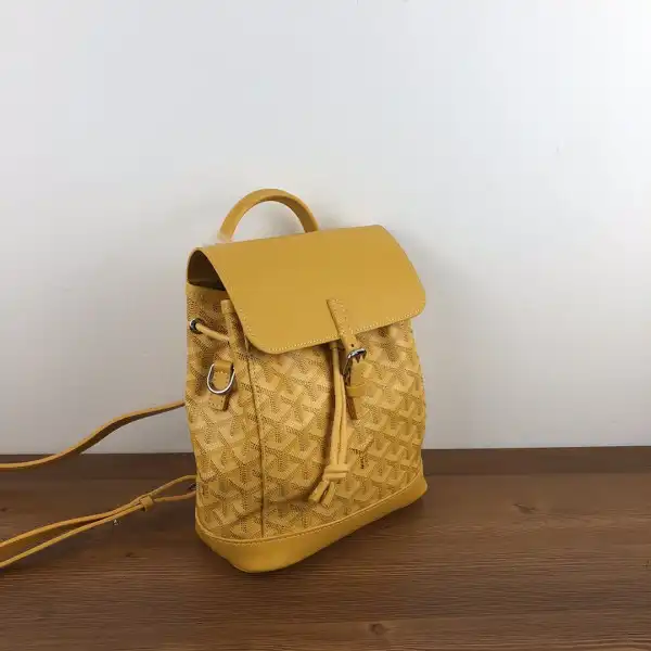 Cheap GOYARD Alpin Mini Backpack