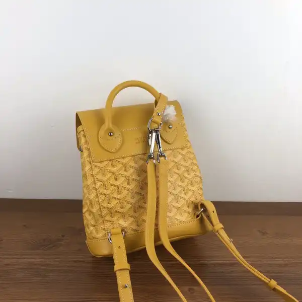 GOYARD Alpin Mini Backpack