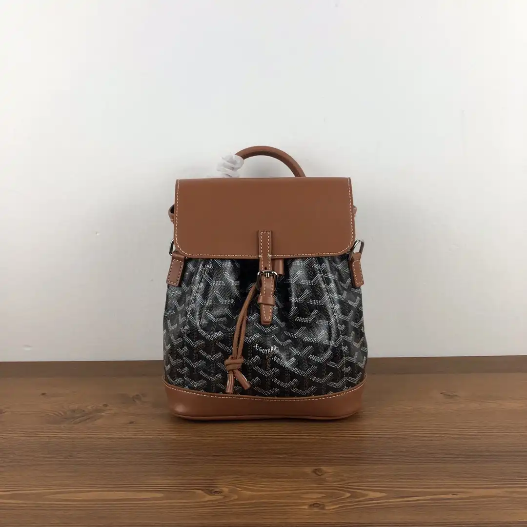 GOYARD Alpin Mini Backpack