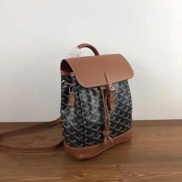 First bag ru GOYARD Alpin Mini Backpack